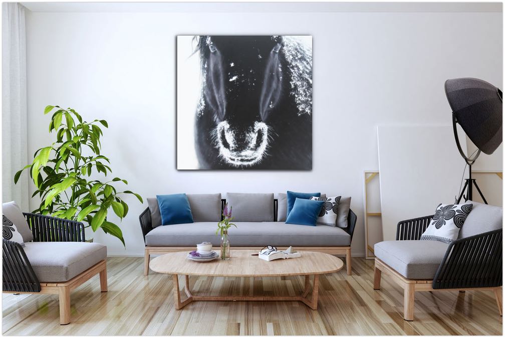 A Horse's Grandeur - paintingsonline.com.au