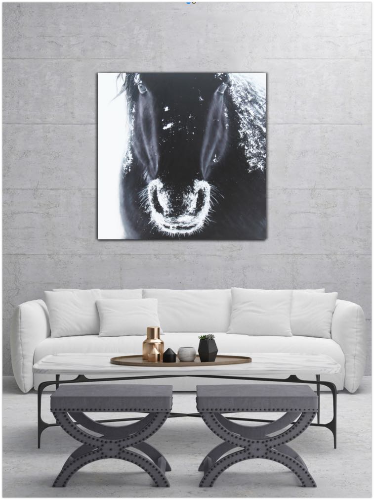 A Horse's Grandeur - paintingsonline.com.au