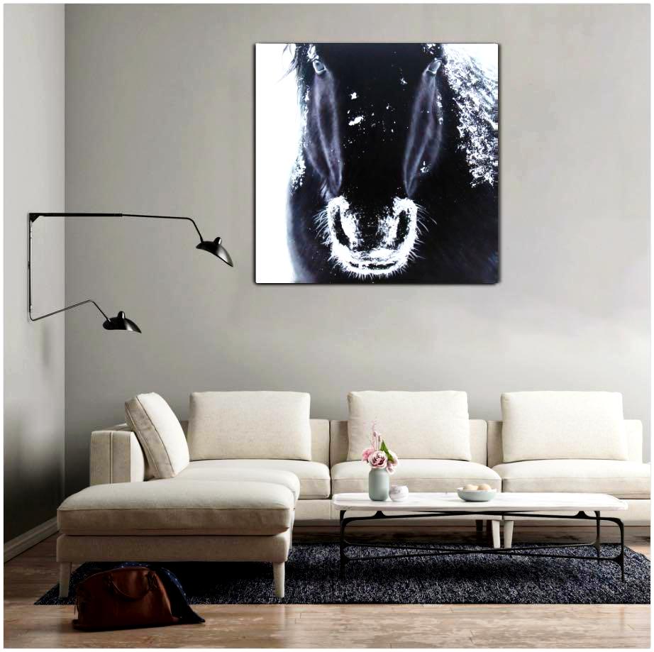 A Horse's Grandeur - paintingsonline.com.au