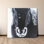 A Horse's Grandeur - paintingsonline.com.au