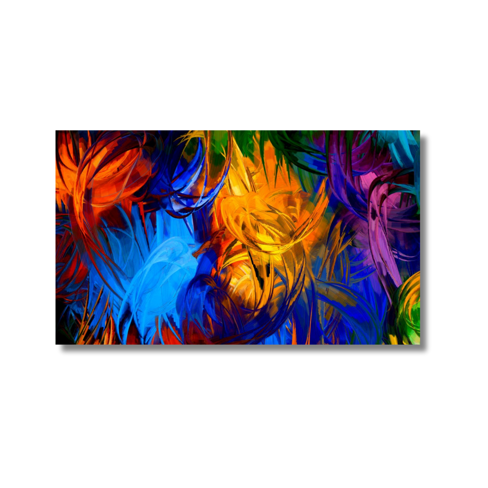 Abstract Feathers Spray