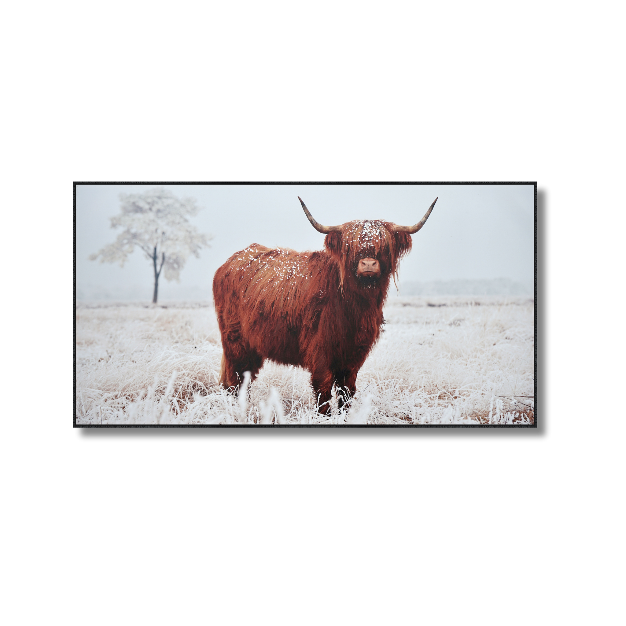 Critter yet innocuous