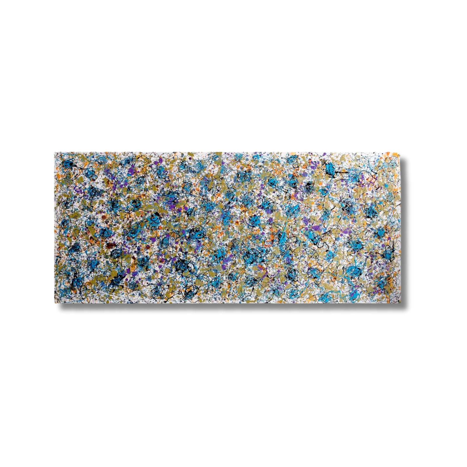 Forget-Me-Not Fields