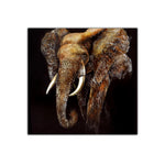 Stomping Realism | Animal Art