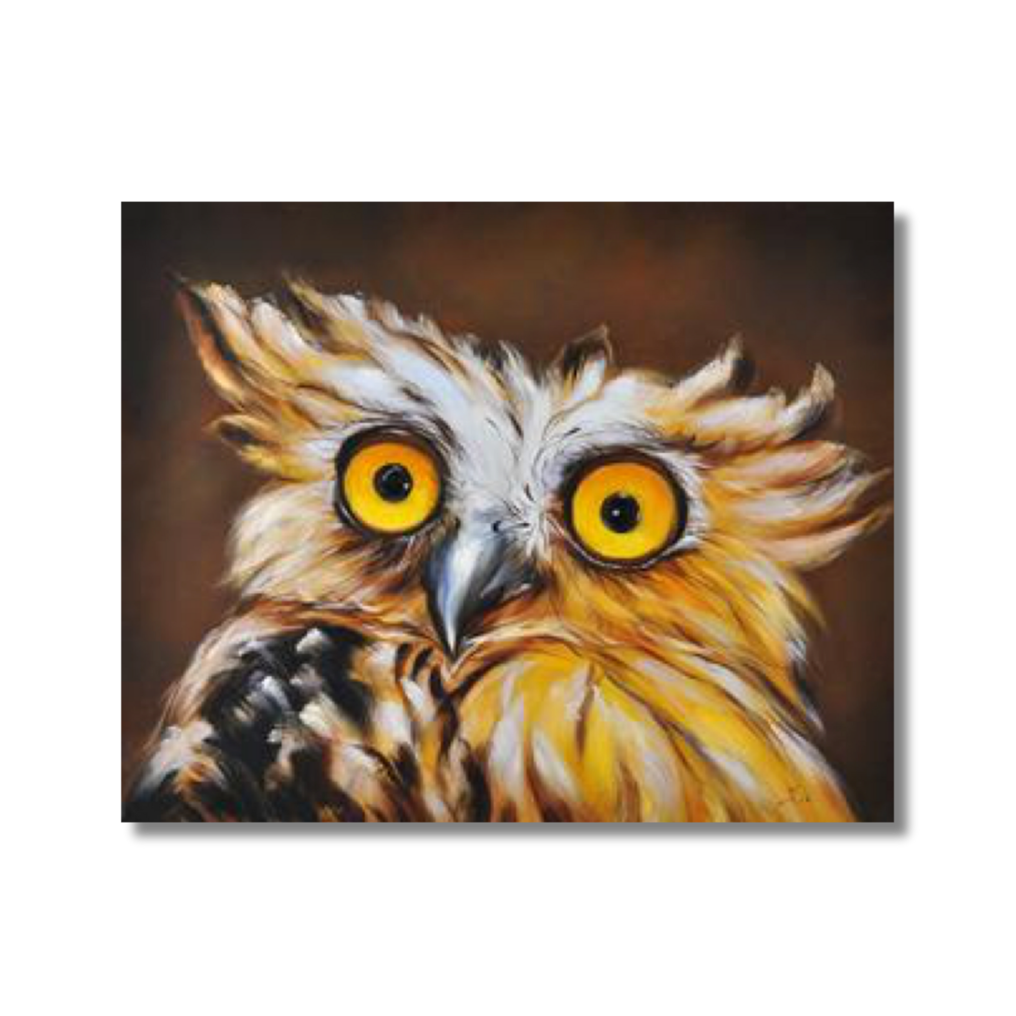 Surprised Owl on Canvas