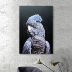 Mr Parrot - paintingsonline.com.au