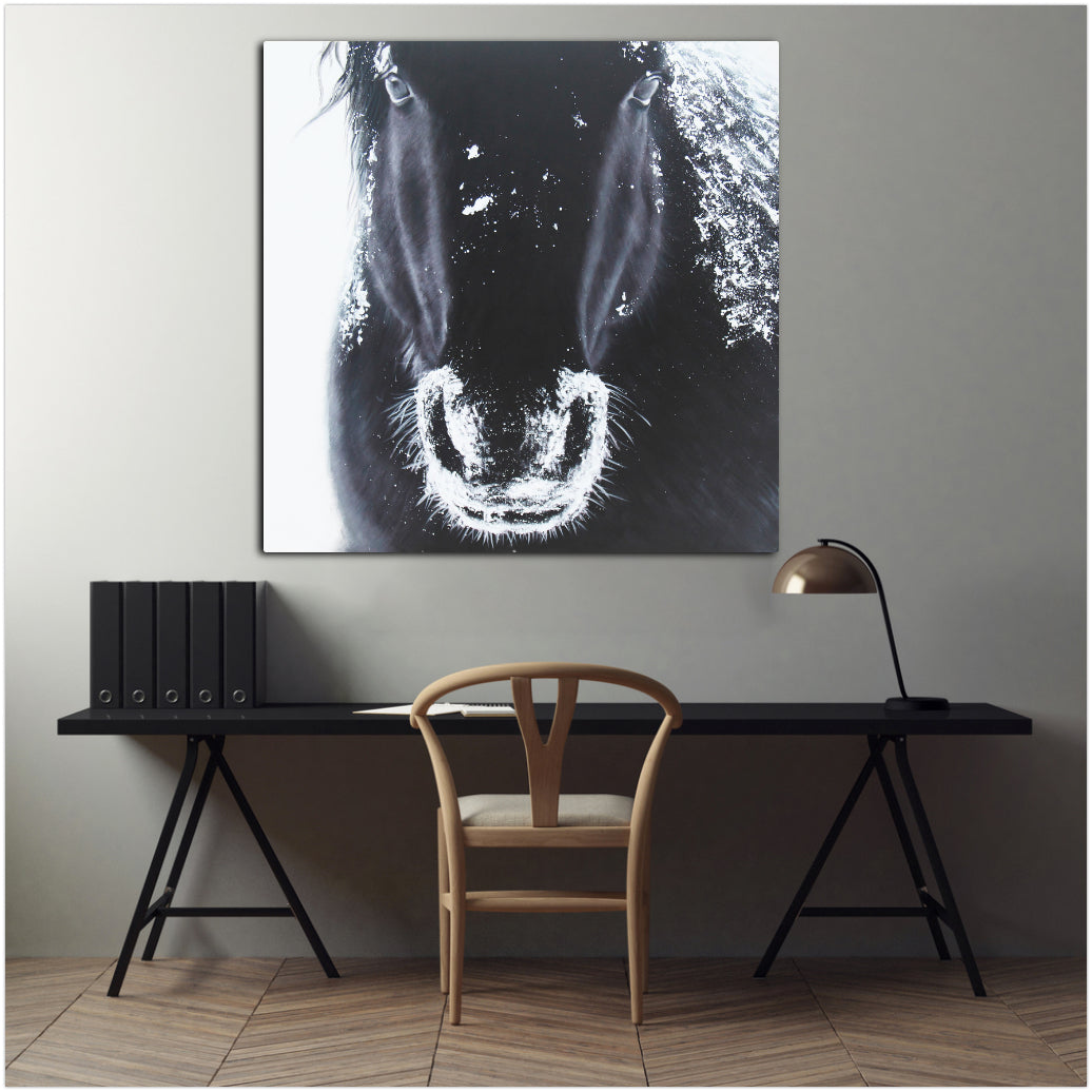 A Horse's Grandeur - paintingsonline.com.au