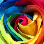 High Quality  Print on Porcelain Glass - paintingsonline.com.au