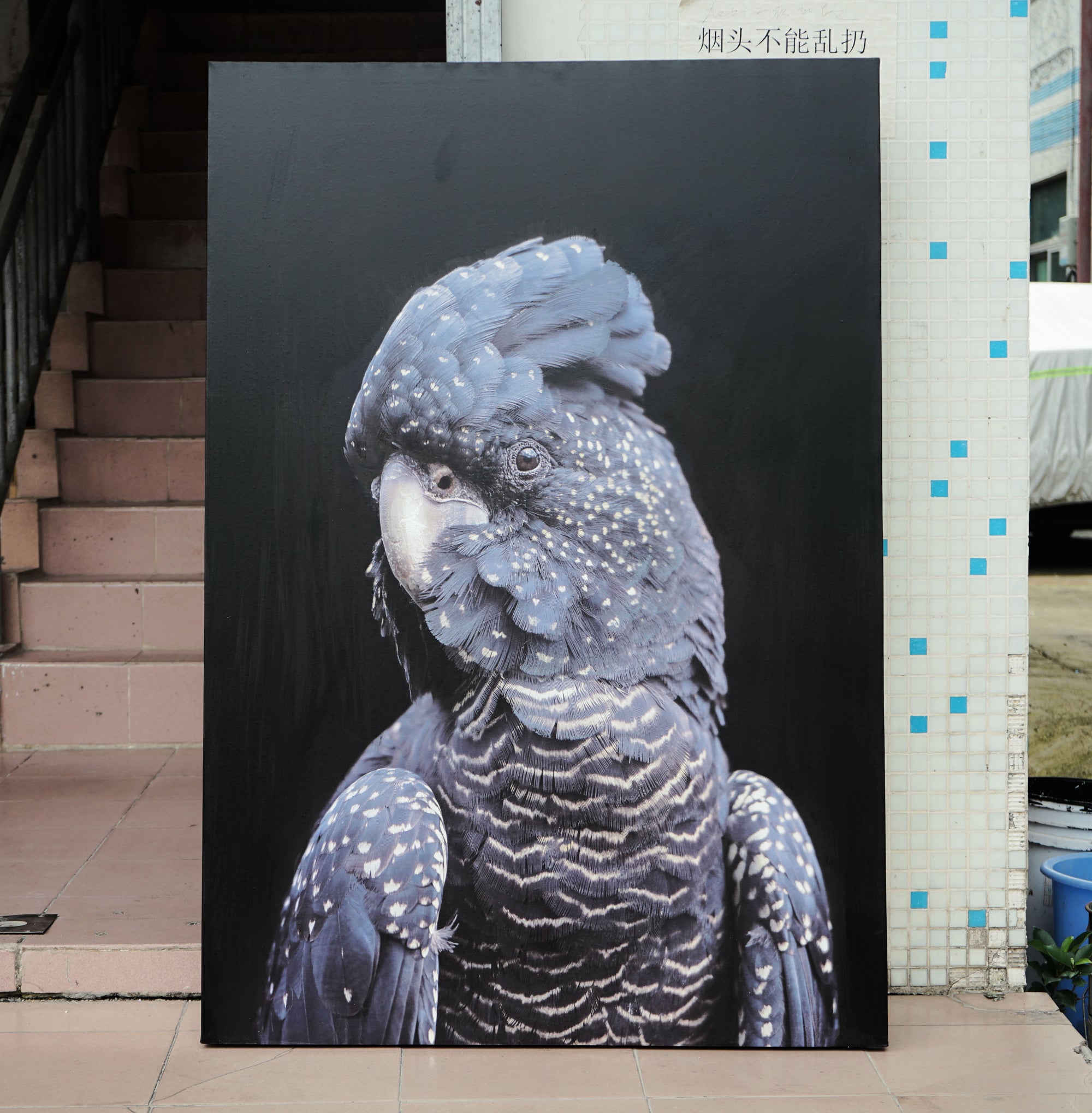 Mr Parrot - paintingsonline.com.au